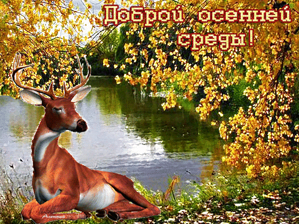 Анимированная открытка Доброй осенней среды!