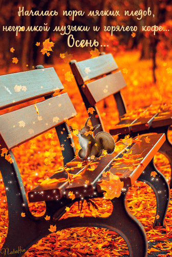 Анимированная открытка Осень... Началась пора мягких пледов, не громкой музыки и горячего кофе...