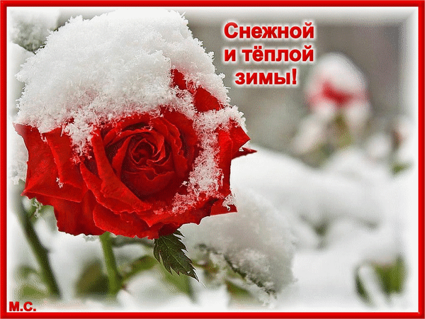 Анимированная открытка Снежной и тёплой зимы!, (М. С.)
