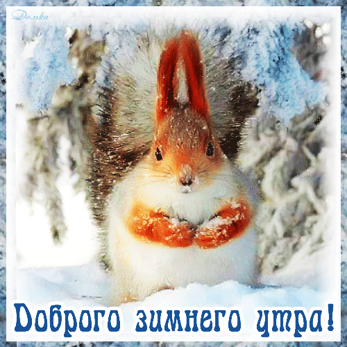 Анимированная открытка Доброго Зимнего УТРА!