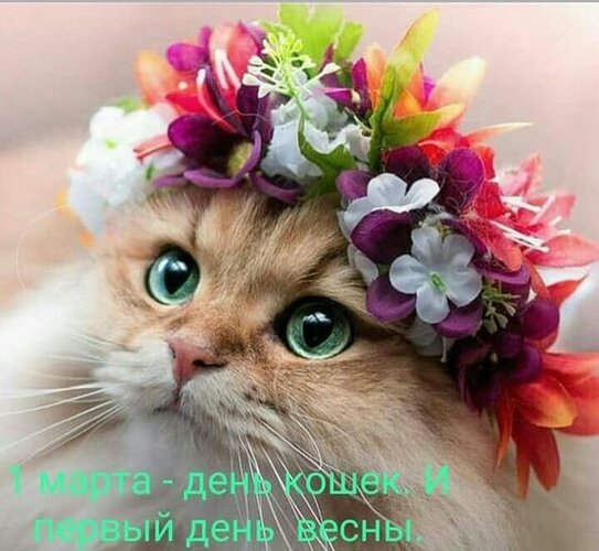 Открытка 1 Марта-День кошек и первый день весны!