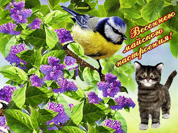 Анимированная открытка Весеннего майского настроения!
