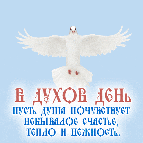 Анимированная открытка С Днем Святого Духа!