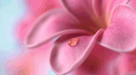 Анимированная открытка Цветы