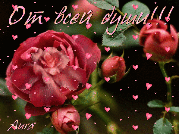 Анимированная открытка От всей души! розы весной