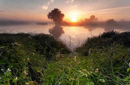 Анимированная открытка Летний пейзаж, речка, закат