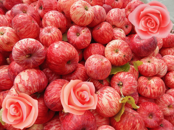 Анимированная открытка Яблоки и розы шампанские яблоки