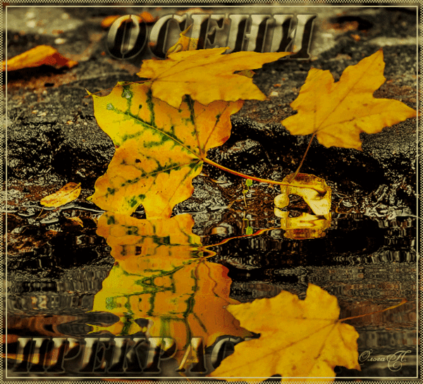 Анимированная открытка Осени прекрасной