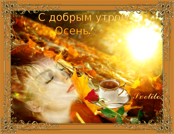 Анимированная открытка С добрым утром, Осень! Svetilo