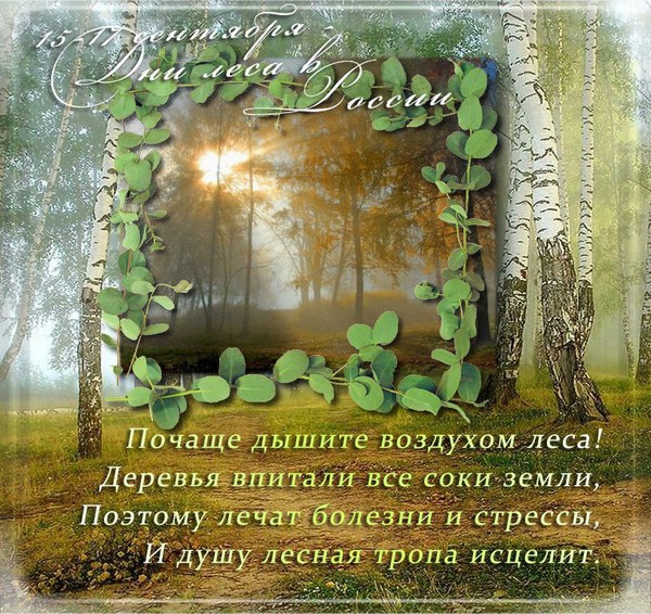 Открытка 15-17 сентября-Дни леса в России Почаще дышите воздухом