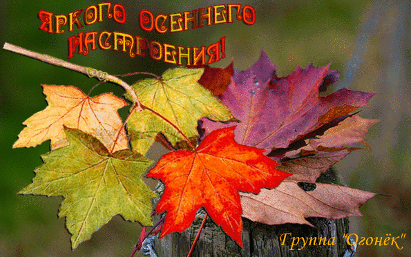 Анимированная открытка Яркого осеннего настроения!
