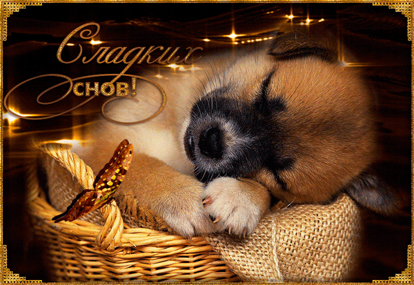 Анимированная открытка Сладких снов! щенок