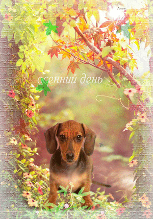 Анимированная открытка Осенний день