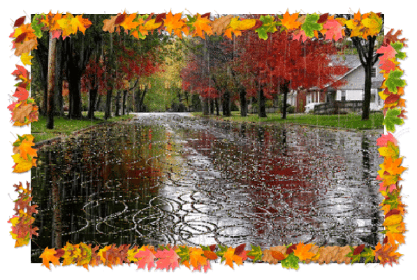Анимированная открытка Осеннюю аллею заливает идущий дождь