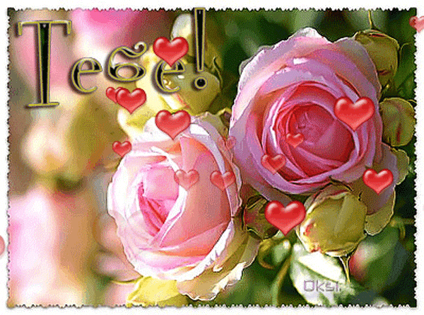 Анимированная открытка Тебе! розы макро