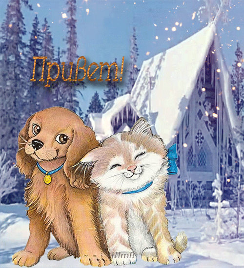 Анимированная открытка Привет! собака и кошка png