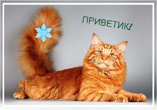 Анимированная открытка Приветик норвежская лесная кошка рыжая