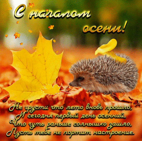 Анимированная открытка С началом Осени!