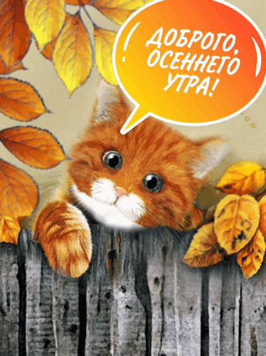Анимированная открытка Доброго осеннего утра!