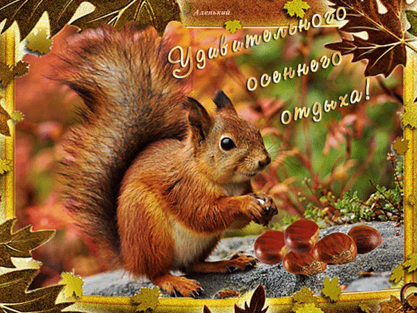 Анимированная открытка Удивительного осеннего отдыха!