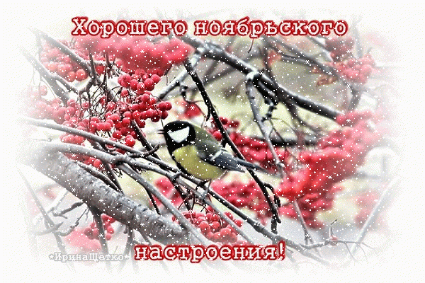 Анимированная открытка Хорошего ноябрьского настроения!