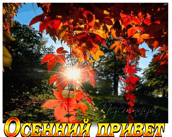 Анимированная открытка Осенний привет!