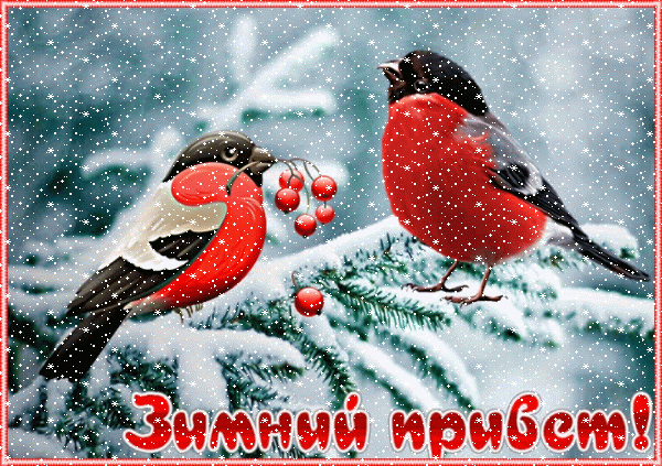 Анимированная открытка Зимний привет!