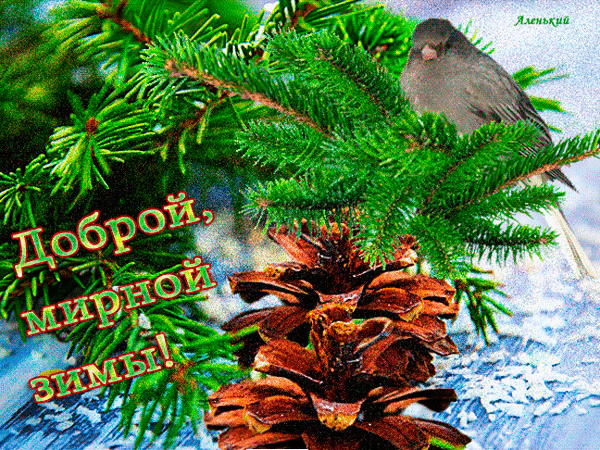 Анимированная открытка Доброй, мирной зимы!