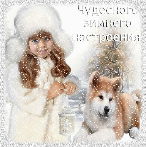 Анимированная открытка Чудесного, зимнего настроения!