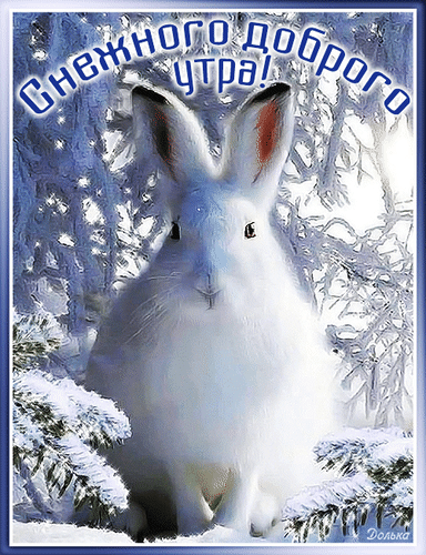 Анимированная открытка Снежного Доброго УТРА!