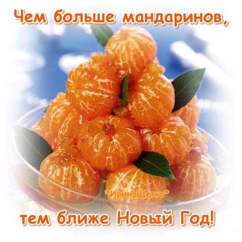 Открытка Чем больше мандаринов, тем ближе Новый Год!