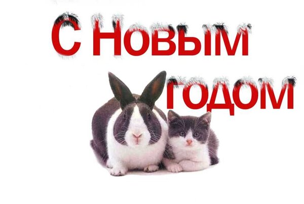 Открытка С новым годом. Символы 2023 года - кот и кролик.