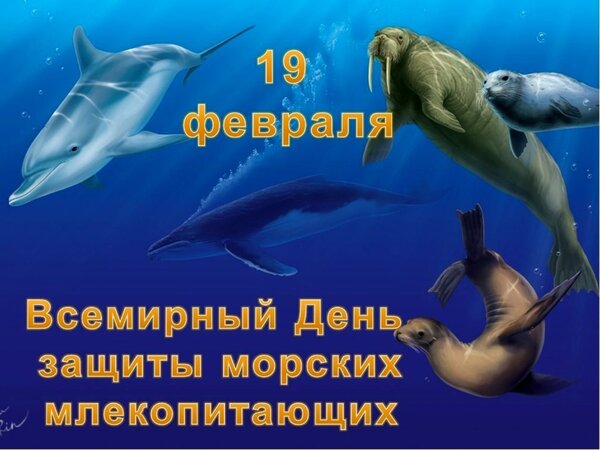 Открытка 19 февраля Всемирный День защиты морских млекопитающих