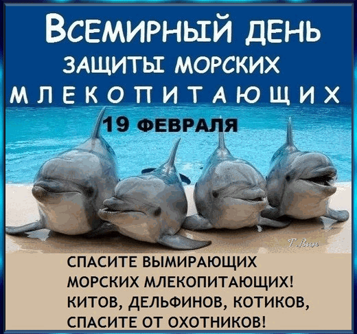 Анимированная открытка Всемирный день защиты морских млекопитающих.
