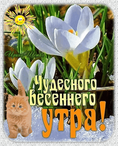 Анимированная открытка Чудесного весеннего утра!