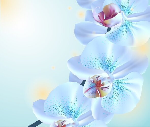 Открытка Орхидея