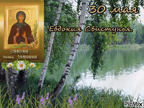 Анимированная открытка 30 мая Евдокия Свистунья.