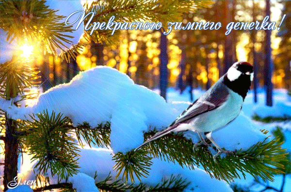 Анимированная открытка Прекрасного зимнего денёчка!