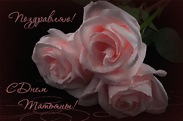 Анимированная открытка розы на черном фоне