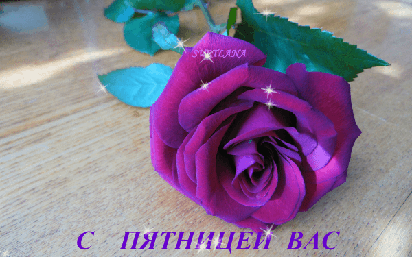 Анимированная открытка С пятницей вас редкие розы