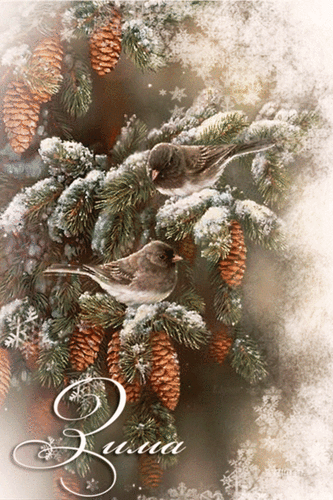 Анимированная открытка Зима