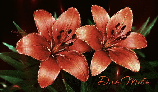 Анимированная открытка Для Тебя лилии красные