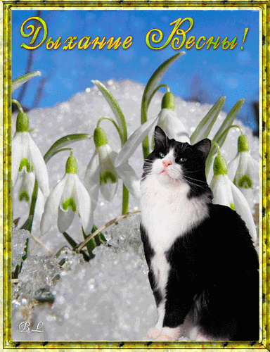 Анимированная открытка Дыхание Весны!