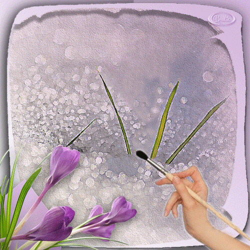 Анимированная открытка Девушка кистью рисует крокусы на снегу, цветы сиреневого цвета