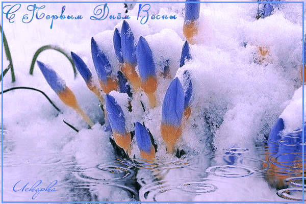 Анимированная открытка С Первым Днём Весны