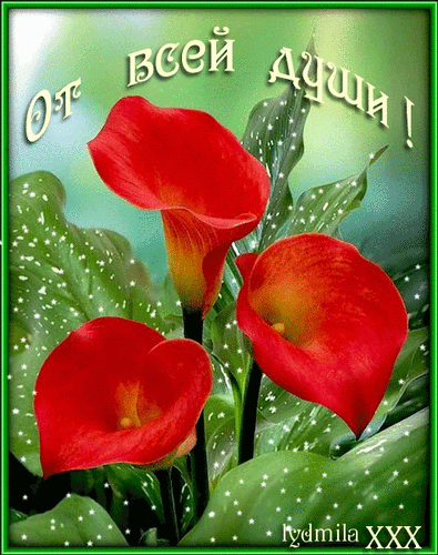 Анимированная открытка От всей души! цветы каллы