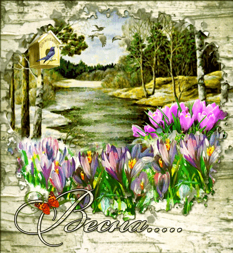 Анимированная открытка Весна береста фон