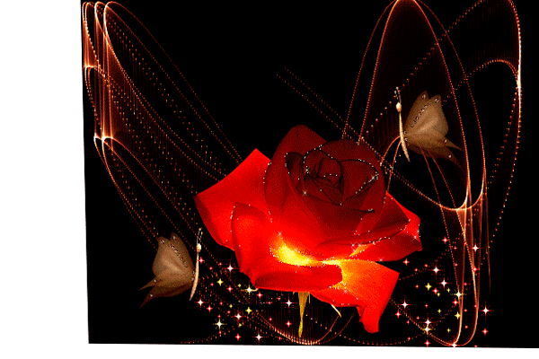 Анимированная открытка Роза
