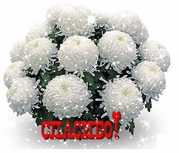 Анимированная открытка СПАСИБО! букет хризантем