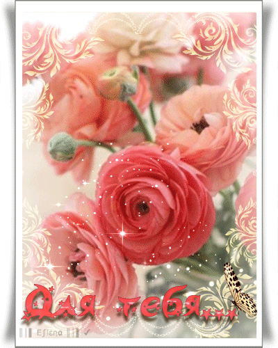 Анимированная открытка Для тебя коралловые розовые цветы